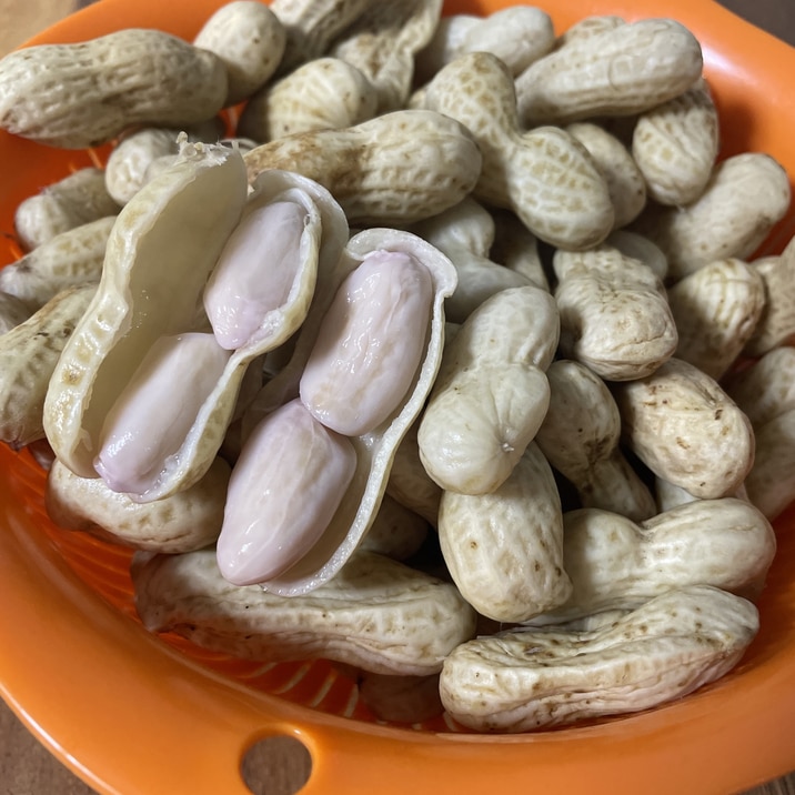生落花生!茹でて美味しく♪